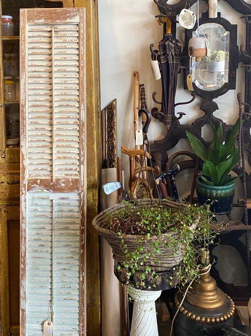 Architecturally Salvaged Shutter