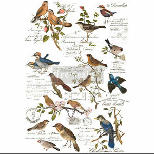 Postal Birds - Prima Re-Design Transfers