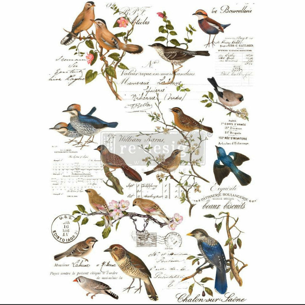 Postal Birds - Prima Re-Design Transfers